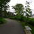 NYC_2015-06-18 10-41-46_P1100953